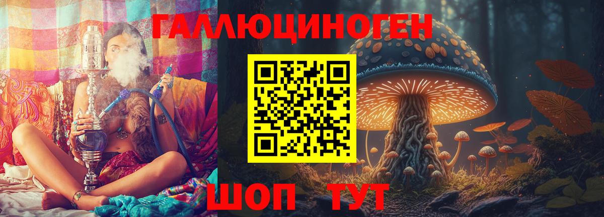 Галлюциногенные грибы GOLDEN TEACHER  Вход с VPN  купить наркоту  Нижнеудинск 