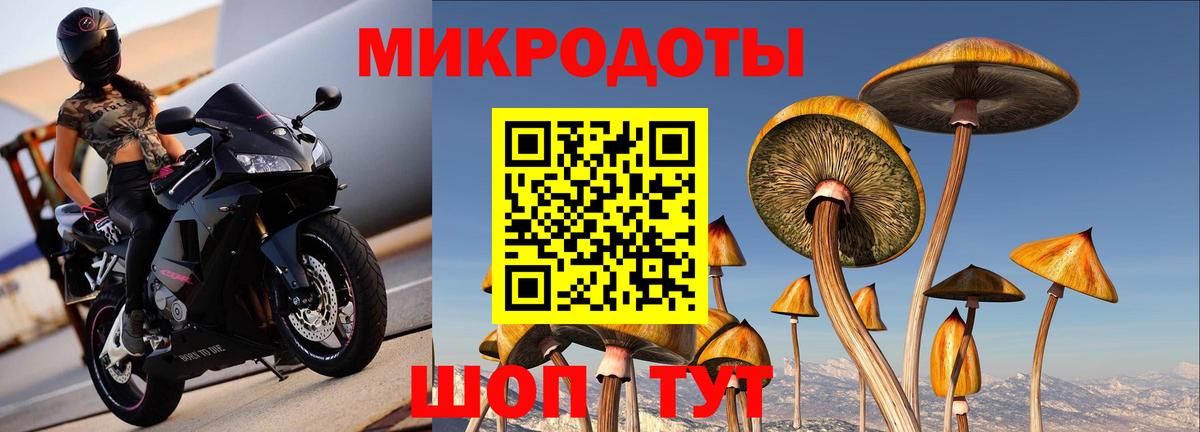 Псилоцибиновые грибы мухоморы Нижнеудинск